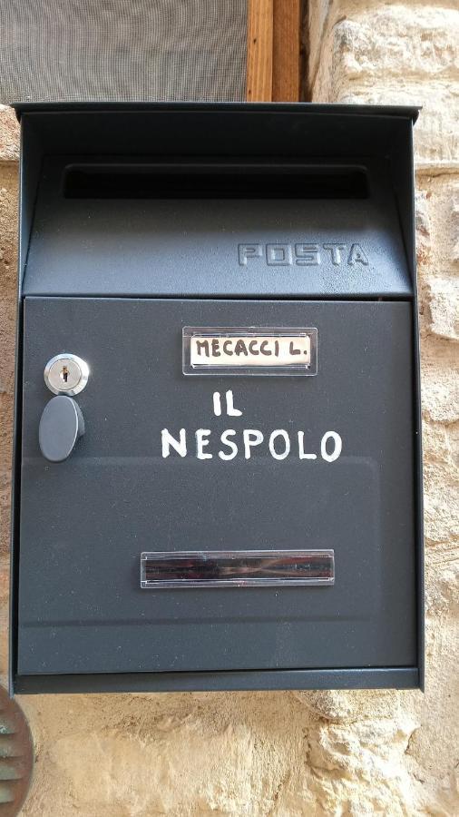 Appartamento Il Nespolo San Gimignano Kültér fotó